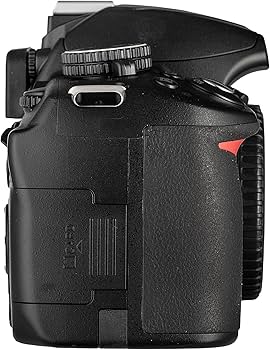 ニコン D3100 AF-S 18-55mm f3.5-5.6G #C326 Amazon.com : Nikon D3100 14.2MP Digital SLR Camera with 18