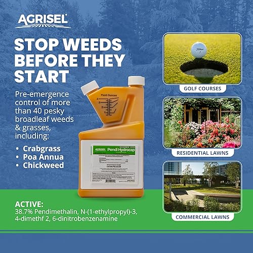 Miniatura 9 de Pendi Hydrocap - Herbicida con fórmula pre-emergente, eficaz en más de 40 hierbas y hierbas de hoja ancha, sin manchas, bajo olor, se mezcla