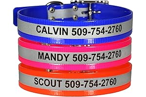 Reflective Waterproof Dog Collar with Engraved Pet ID