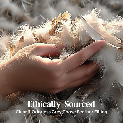 Miniatura 3 de Bafode Juego de 2 rellenos de almohada de plumas de ganso, 12 x 20 pulgadas, lujosos cojines decorativos corrugados con exquisito borde satinado