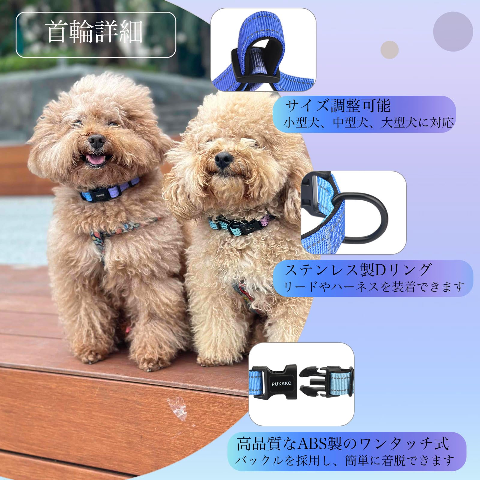 Amazon | PUKAKO 犬首輪 リード セット 犬用首輪 犬用リード 小型犬
