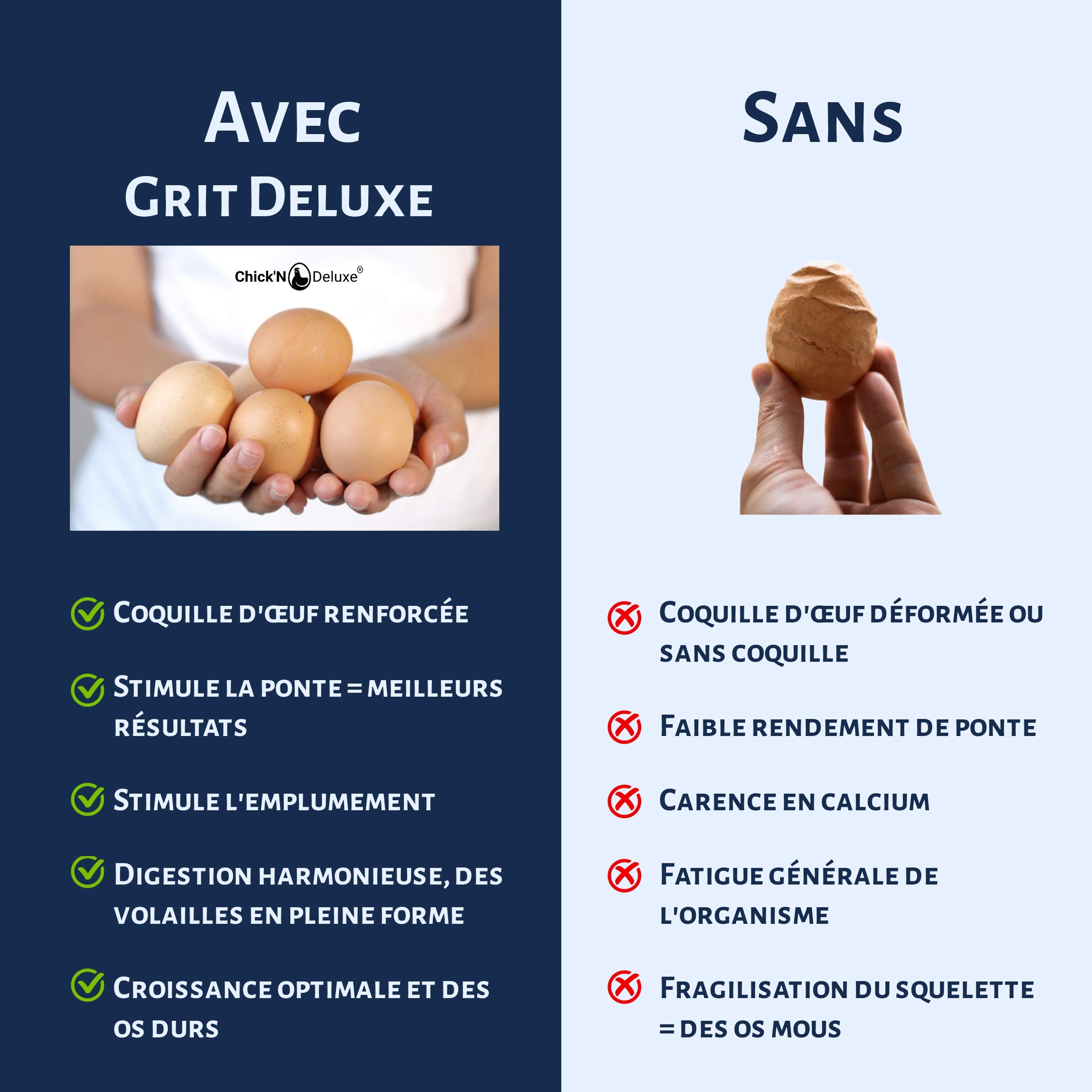 Chick'N Deluxe® Grit Deluxe 5Kg. Complément Alimentaire pour Pigeons/volailles. Mélange de minéraux, Charbon Actif et enrichi l'anis pour Une Digestion Parfaite. Renforce Aussi la Coquille d'oeuf.