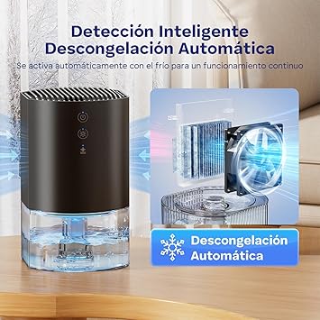 Foto del Deshumidificador