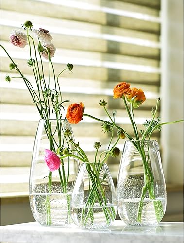 Miniatura 3 de CASAMOTION Juego de 3 jarrones de cristal, centros de mesa, decoración de mesa de boda, florero de flores, estilo rústico moderno, burbujas