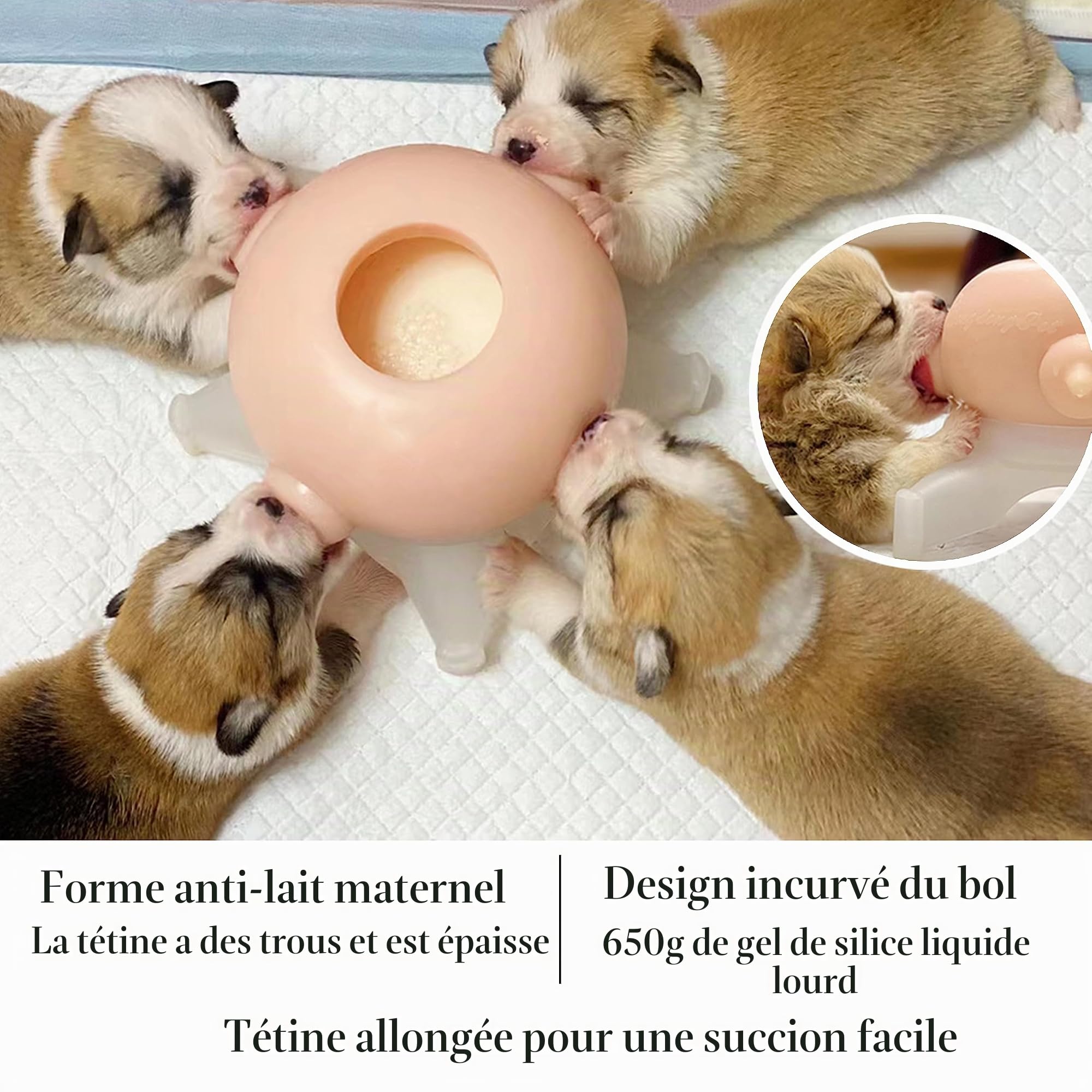 Mangeoire à Lait pour Chiot,Biberons pour Chiots, pour Plusieurs Chiots 4 Tétines en Silicone Allaitement pour Chiot Dongdong Pet
