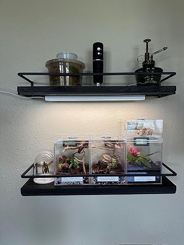 Miniatura 2 de ASOKO Iluminación LED para debajo del gabinete, barra de tira de luz de 12 pulgadas, luz blanca fría 6000 K regulable con enchufe USB, pequeña