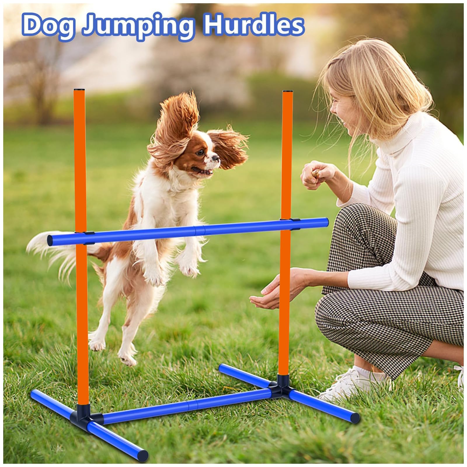 Agility Set Hunde Hürdenset Ausrüstung für Hundetraining mit 6 x Hürden Höhenverstellbar