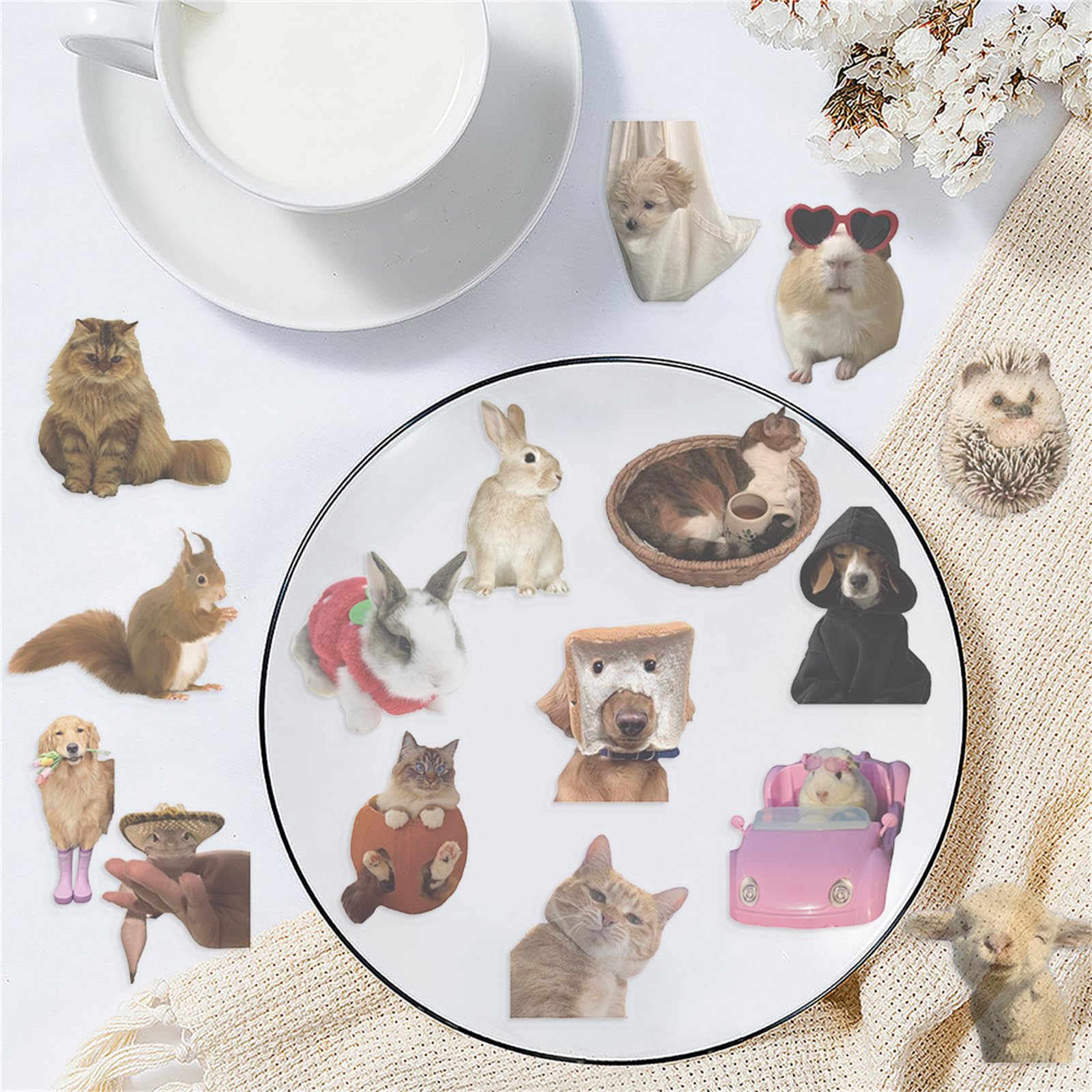 CDMEME-PET Lot de 50 autocollants transparents amusants en PET pour scrapbooking, journaux, cadeaux pour enfants et adultes, fabrication de cartes, lettres