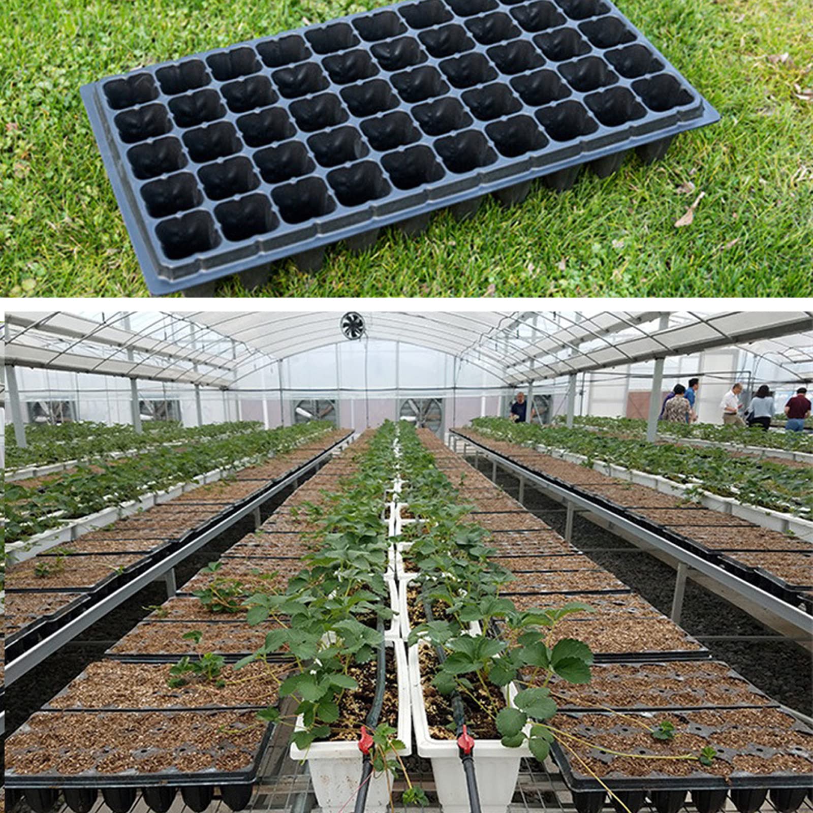 Vassoi per la Germinazione, Coltivazione Vassoi Semina a 32 Celle, Semenzaio per Germinazione di Piante con Fori di Drenaggio Idroponica per Giardino Serra