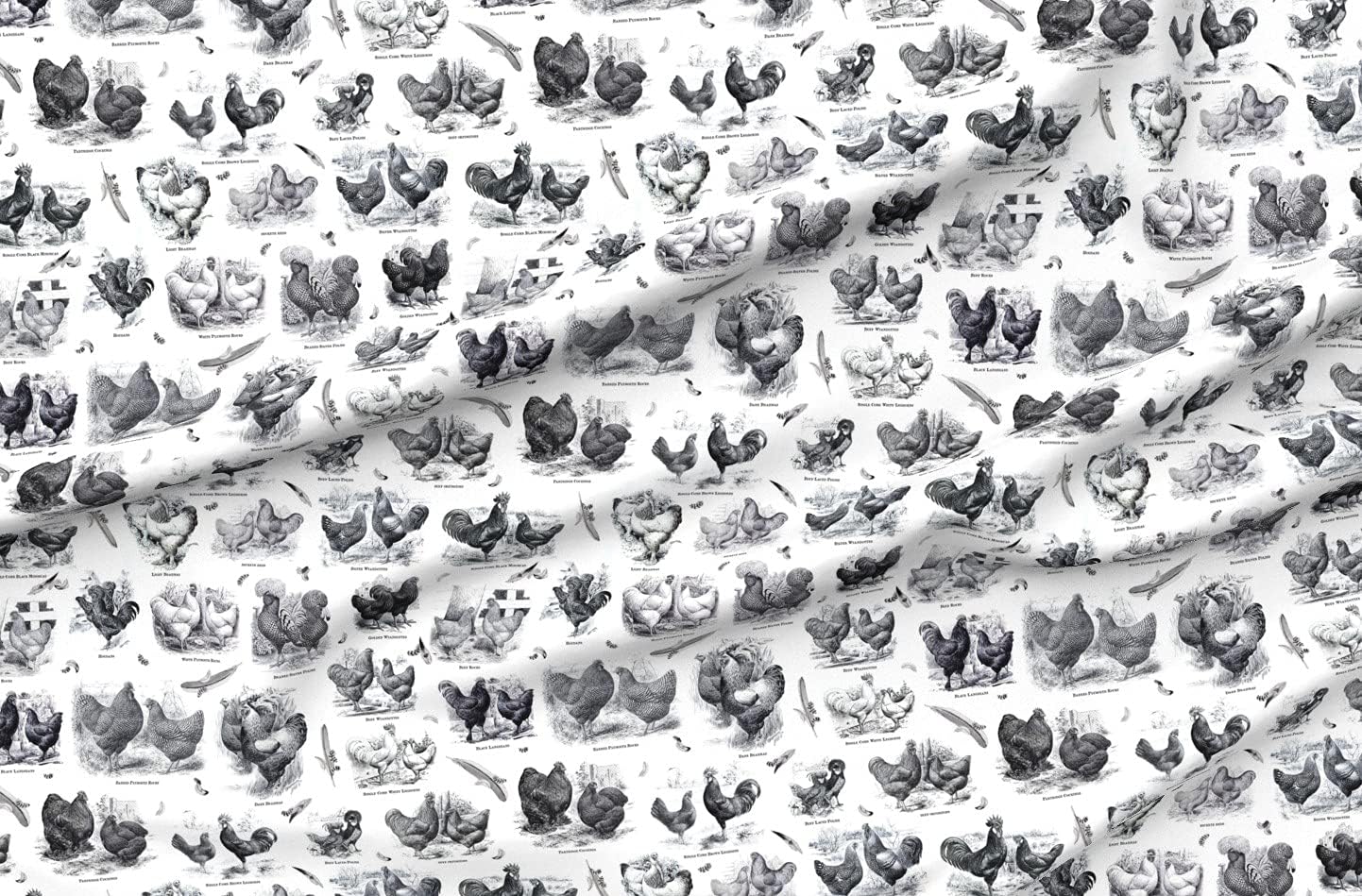 Spoonflower Fabric - Poultry White Black Toile Victorian Vintage Birds Antique Farmhouse Printed on Petal Signature Cotton Fabric Fat Quarter - Sewing Quilting Apparel Crafts Decor