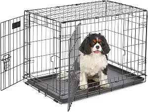 MidWest Homes for Pets 30-Inch iCrate for Medium Breeds, 21-40 lbs, Double Door Folding Dog Crate with Divider Panel, Leak-Proof Tray & Secure Latches