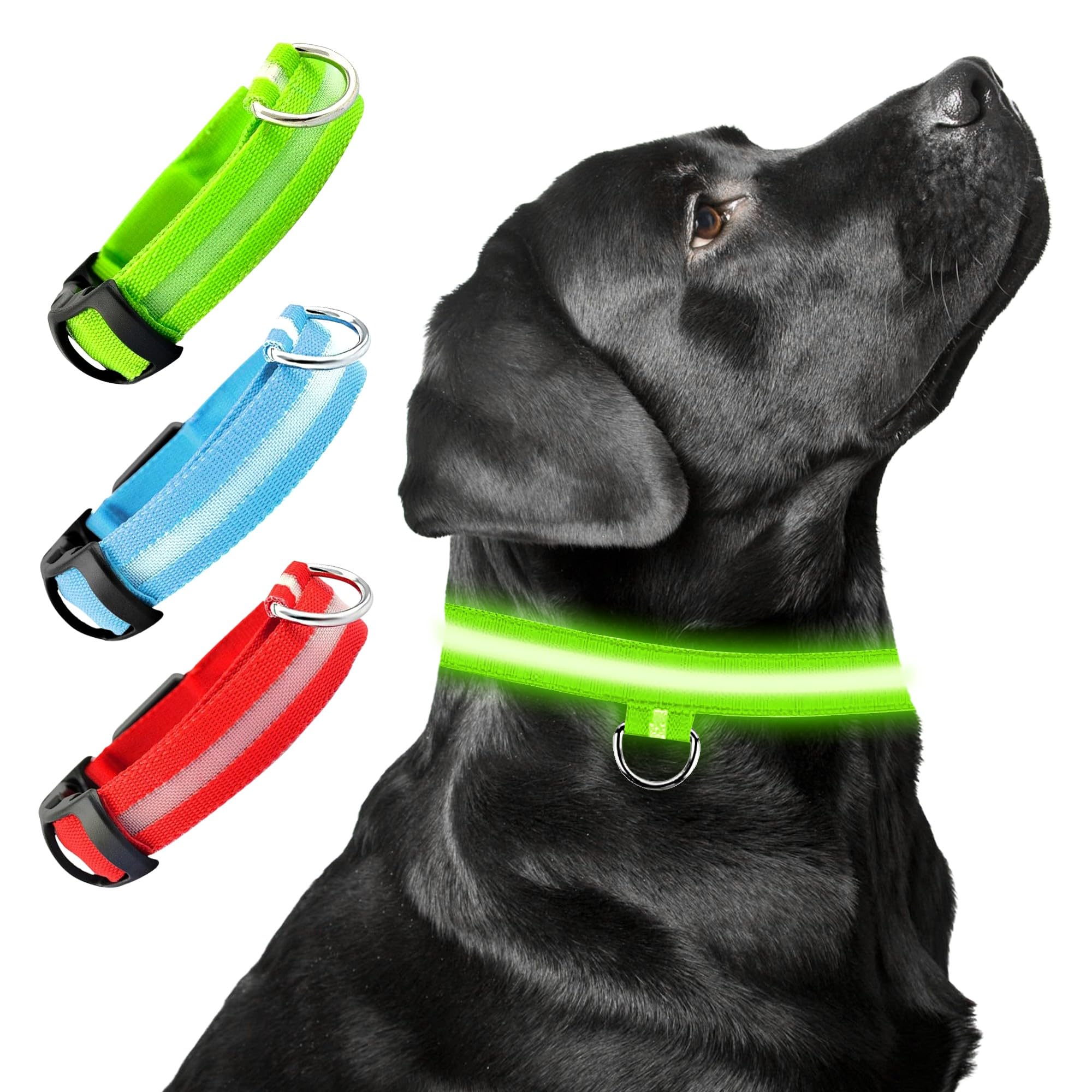 D&S Global LED Dog Collar, Rechargeable, Waterproof, Adjustable Size, USB Charging, Glowing Modes, for Small Medium and Large Dogs (Green, Small)