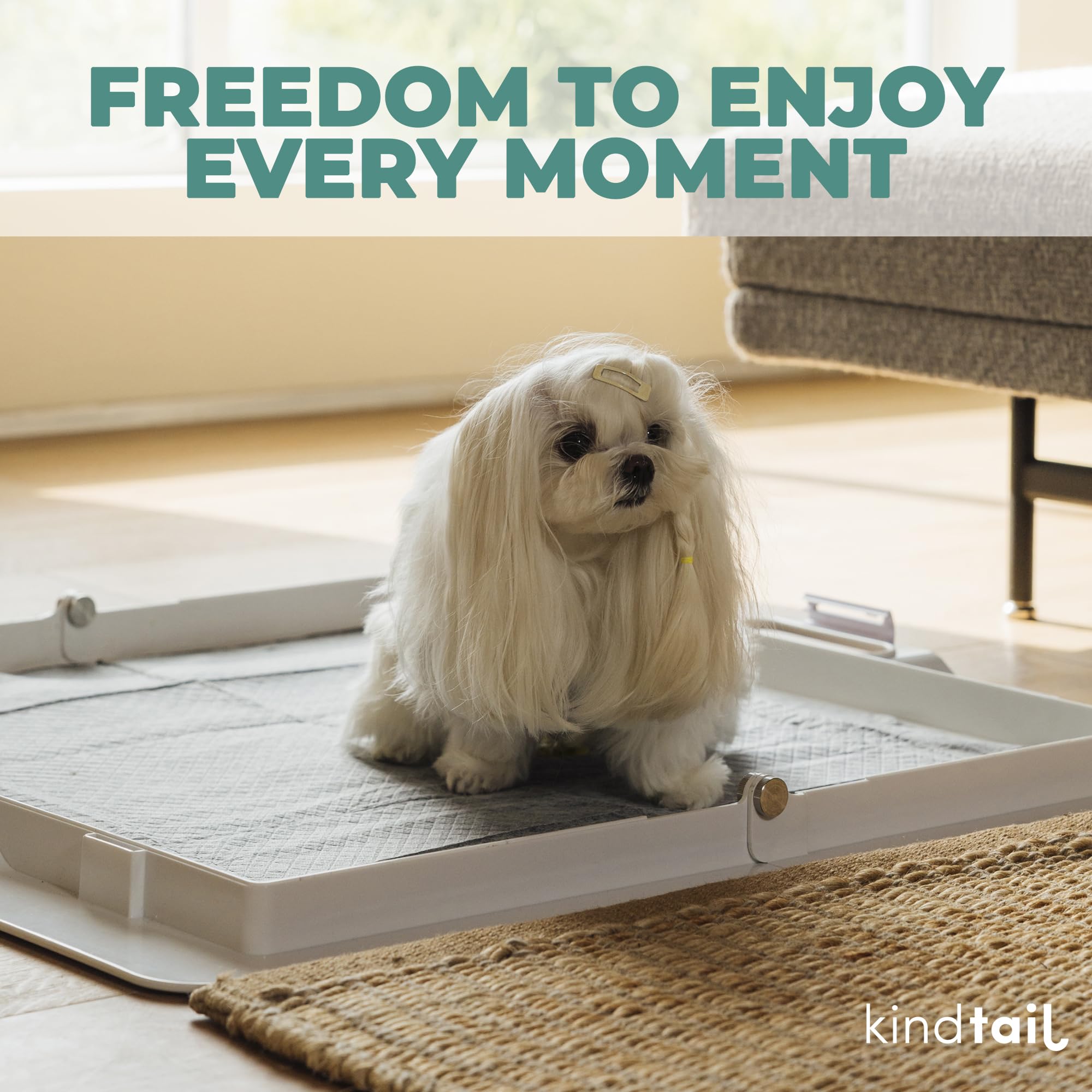 KindTail Almohadillas de entrenamiento para perros de 24 x 24 pulgadas, a prueba de fugas y absorbentes con respaldo adhesivo, almohadillas de carbón desechables y filtrantes de olores para