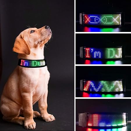 Dog collar with app Clearance