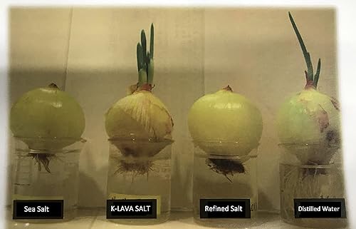 Miniatura 7 de K-LAVA SALT — Sal de bambú número 1 de Corea: original 9x, polvo, 2.47 onzas
