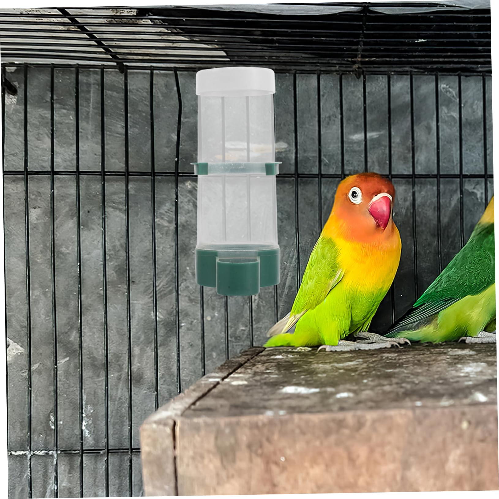 20stücke Automatischer Vogelfutterspender Für Sittiche Kanarienvögel Und Andere Vögel Praktische Futter Und Wasserversorgung Für Vogelkäfige Und Nester Einfache Handhabung