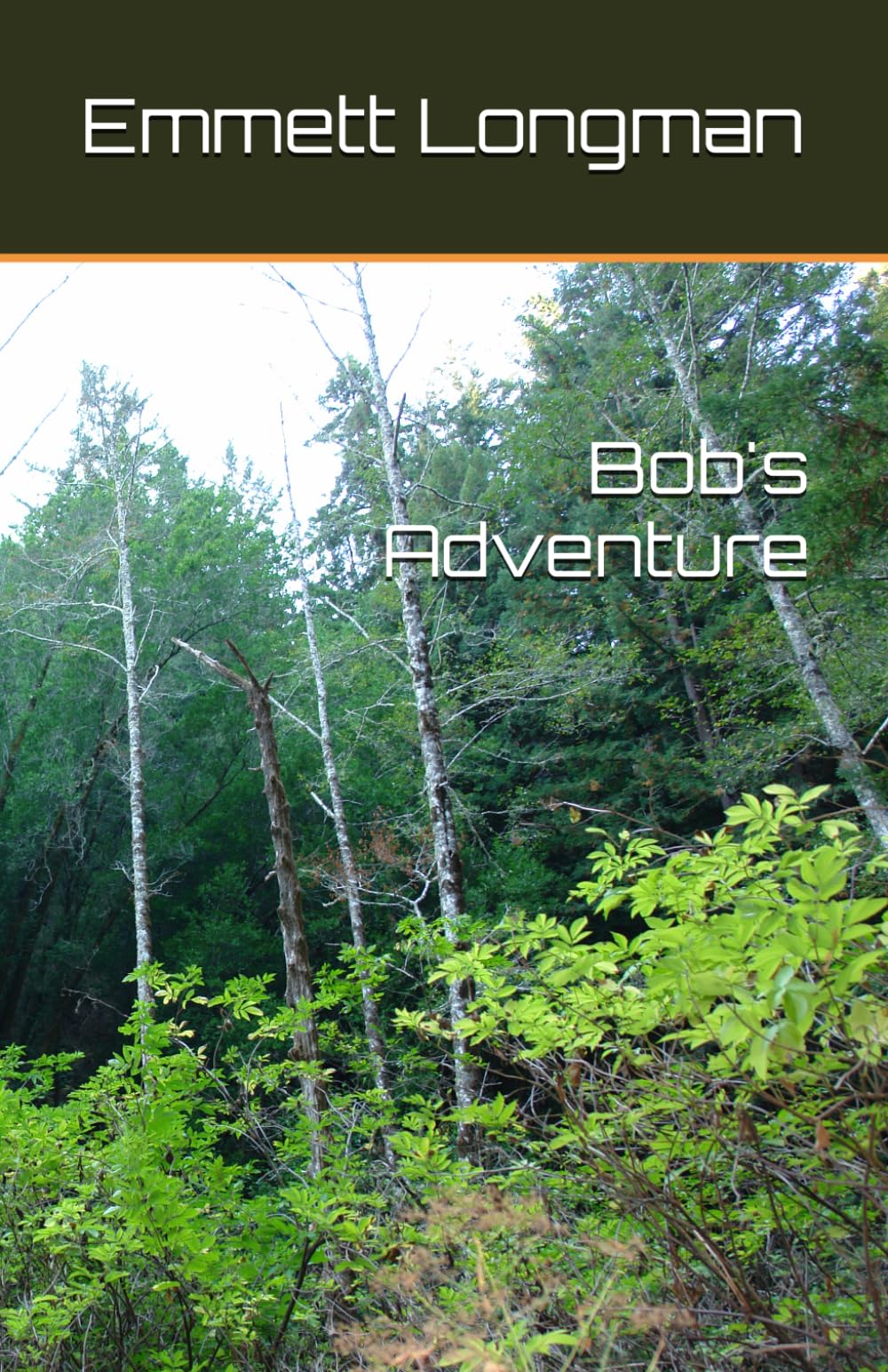 Bob's Adventure