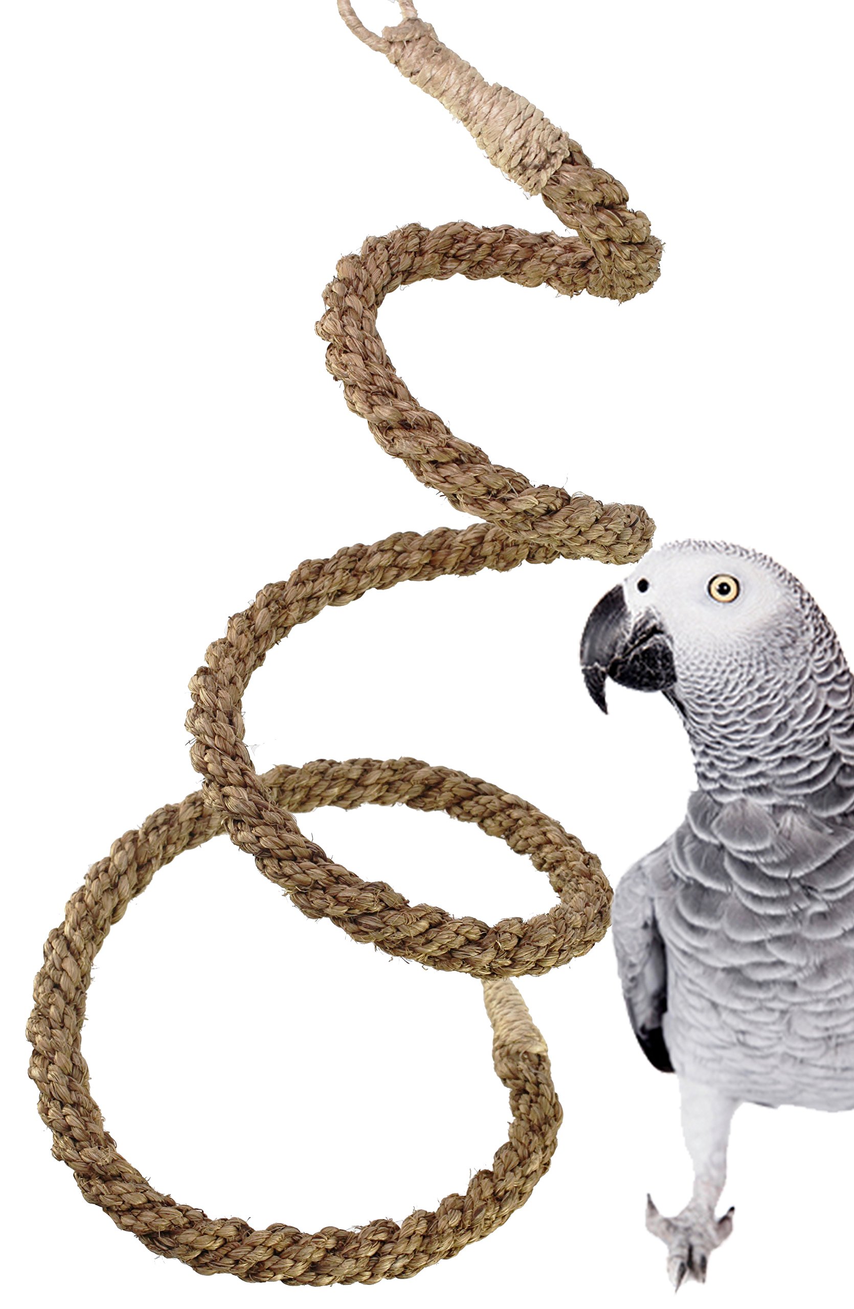 parrot rope