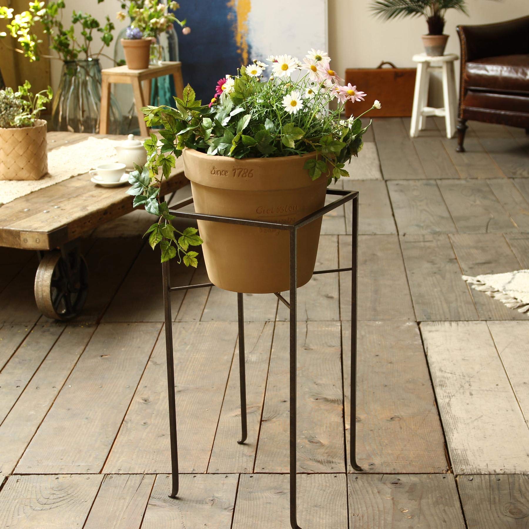 廃盤品　新品　SPICE ジョセフアイアン　フラワースタンド　プランターラック Amazon｜SPICE OF LIFE(スパイス) 鉢スタンド フラワー