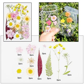 Cayway 82 PCS Natural Dried Pressed Flowers Leaves Glitter And Accessories Kit With Tweezers, Scissors For DIY Candle Resin Jewelry Nail Pendant Crafts Art Floral Decoration