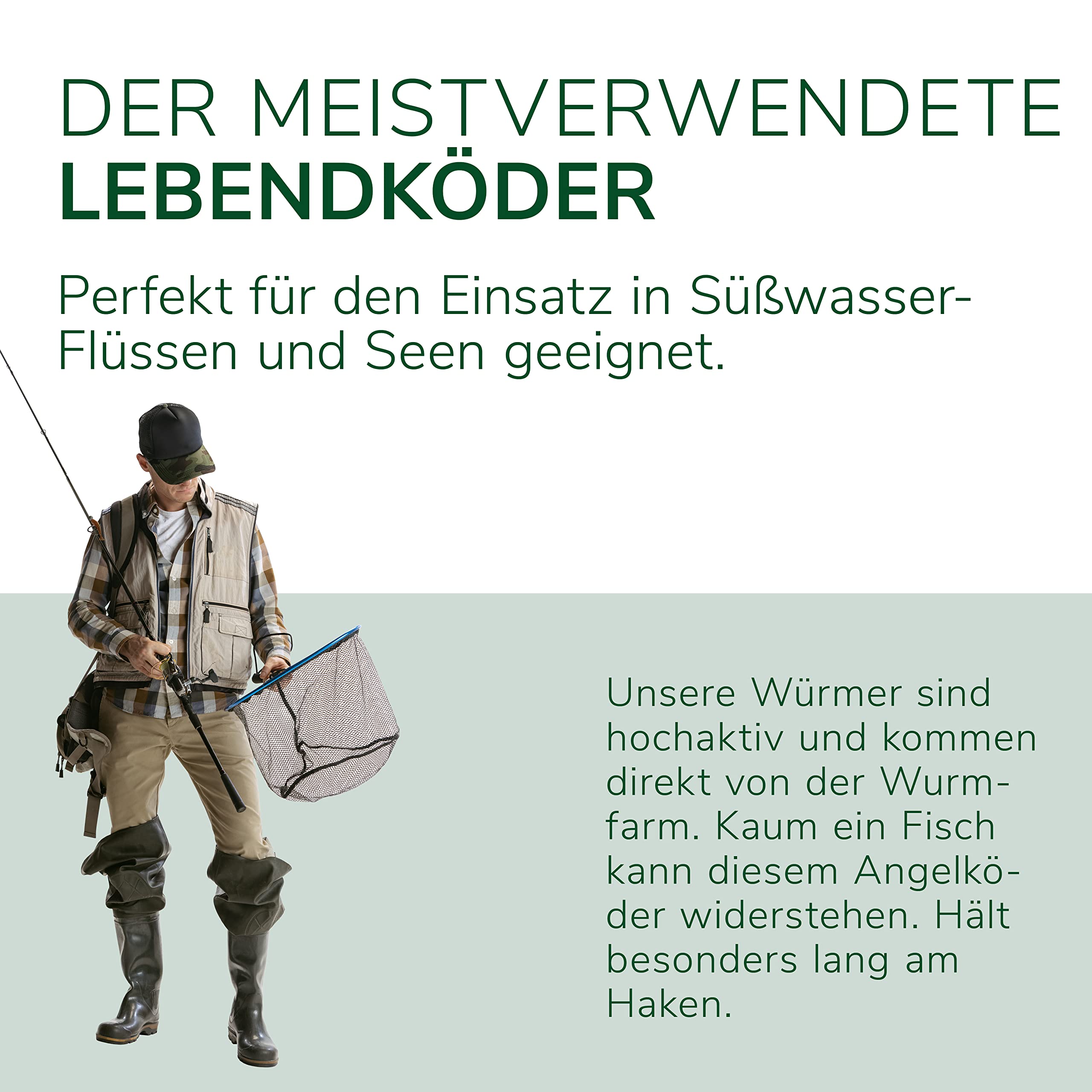 Natursache I Dendrobena-Würmer lebend I Lebender Angelköder für Forelle, Lachs, Aal, Barsch, Hecht, Karpfen & alle Anderen Arten von Weißfischen I Ideales Zubehör für Angler…