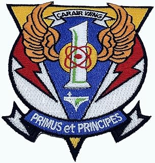 Carrier Air Wing CVW-1 Patch â€“ Plastic Backing