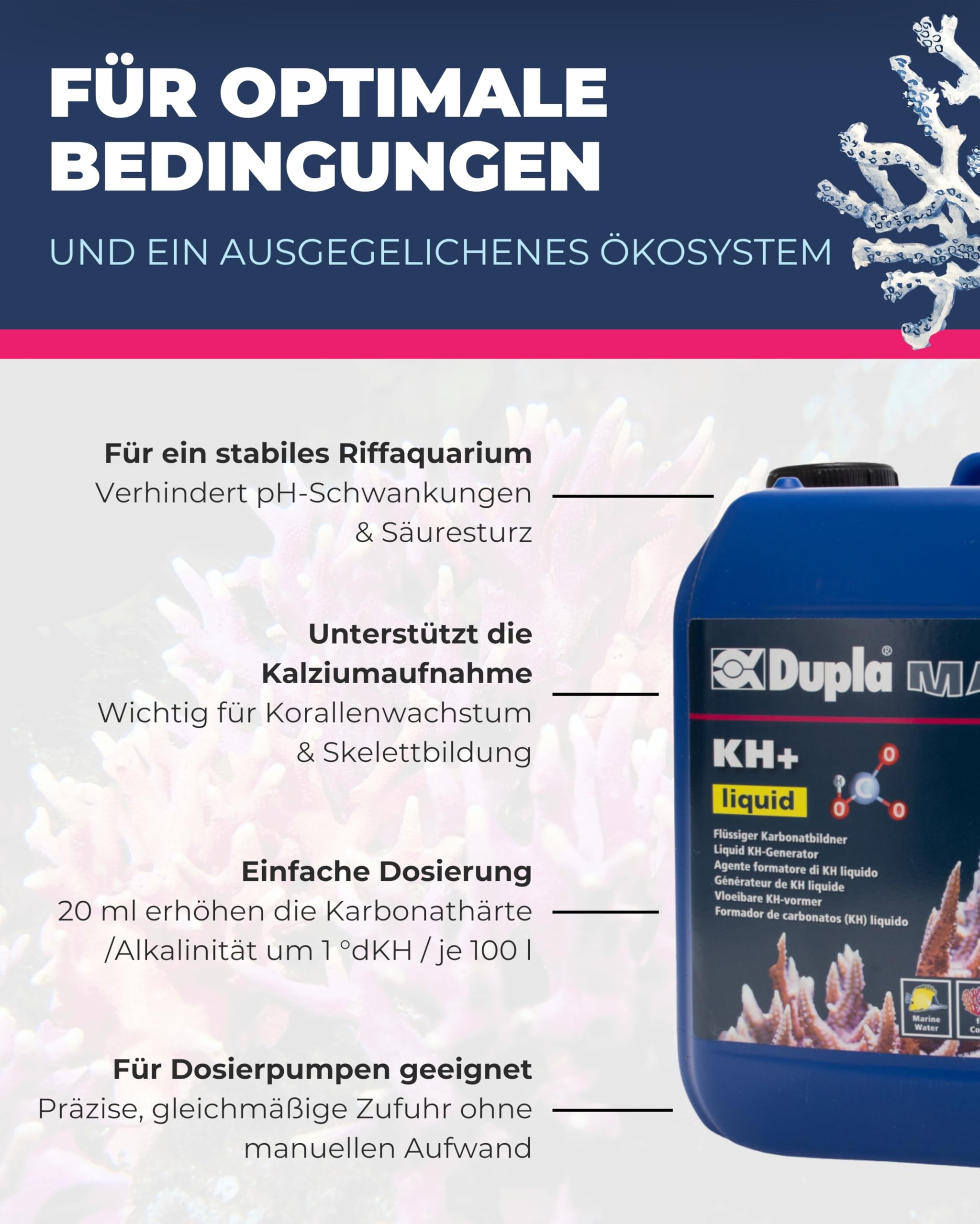 Dupla KH+ Liquid 5.000 ml - Flüssiger Karbonatbildner für stabilen pH-Wert - Effiziente Wasseraufbereitung für Ihr Aquarium - Fördert das Korallenwachstum - Für Meerwasseraquarien geeignet
