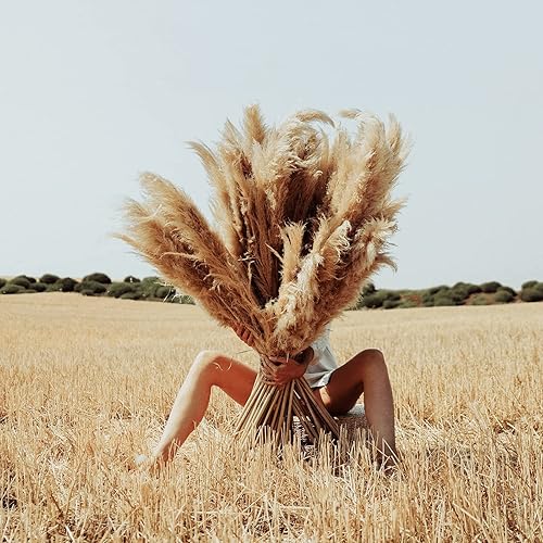 Decoración de hierba de las pampas grande de 46 pulgadas, 12 tallos de hierba natural seca de las pampas a granel, hierba alta de las pampas para