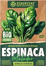 ZenGreens® - Spinacabium seeds - Vegetable seeds for easy growing in the garden, balcony or raised bed - Vegetable seeds - matador