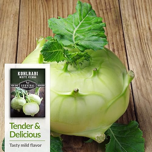 Miniatura 4 de Survival Garden Seeds - Semilla de colinabo blanco de Viena para plantar - 3 paquetes con instrucciones para plantar y cultivar vegetales crucíferos