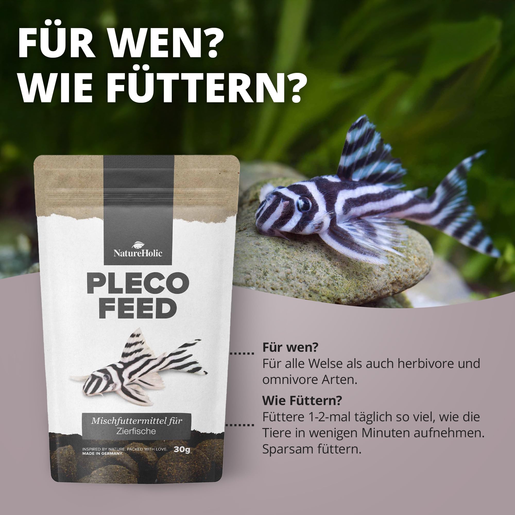 King British Plecostomus Tabletten 50g – Multivitamin-Futter Für Bodenfische Wie Welse