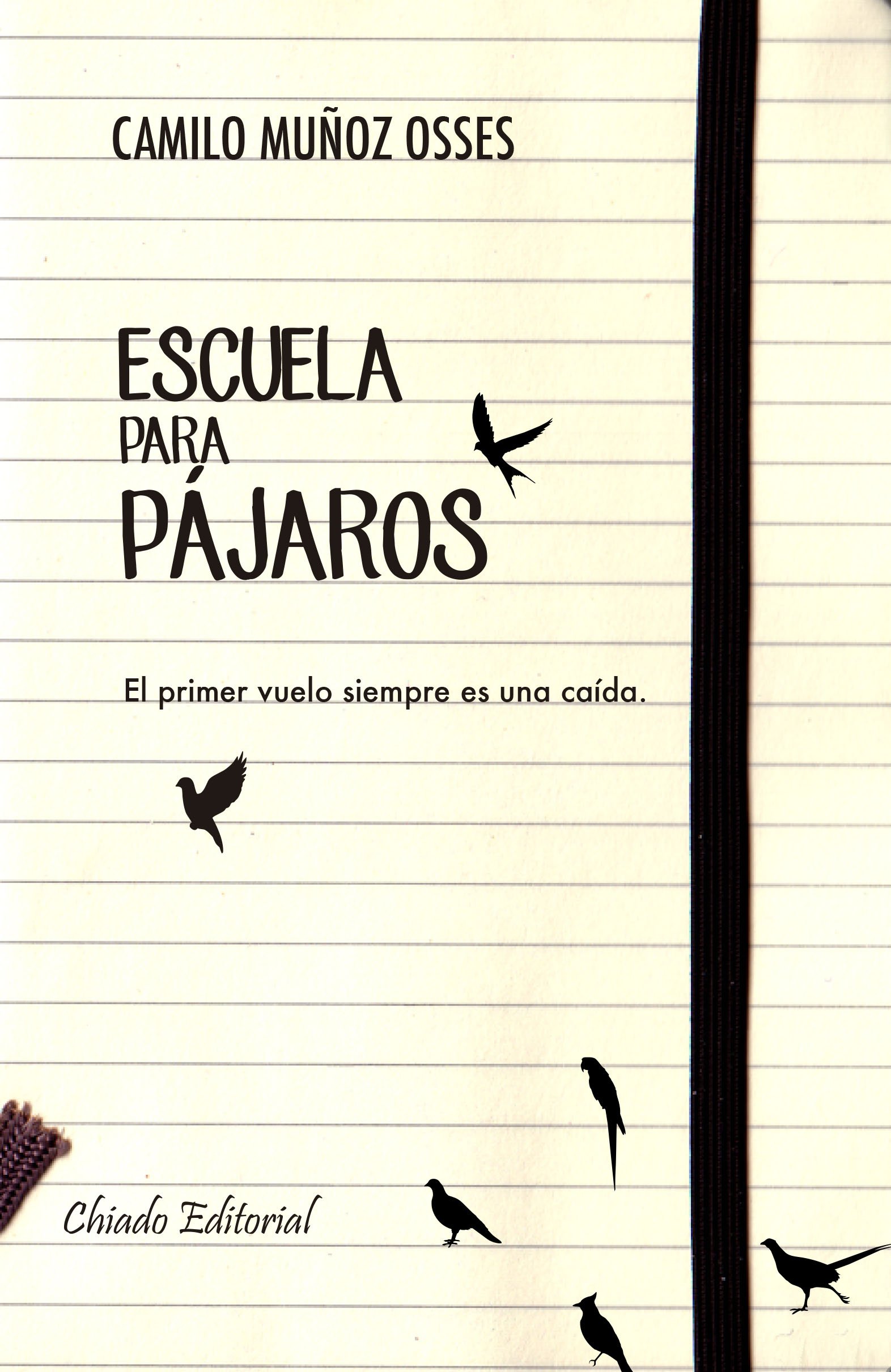 ESCUELA PARA PAJAROS