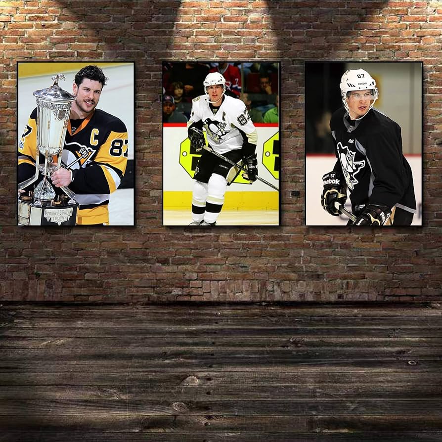 Lise Labbé　カナダ　アイスホッケー　タペストリー　壁掛け　額縁 Lise Labbé カナダ アイスホッケー タペストリー 壁掛け 額縁