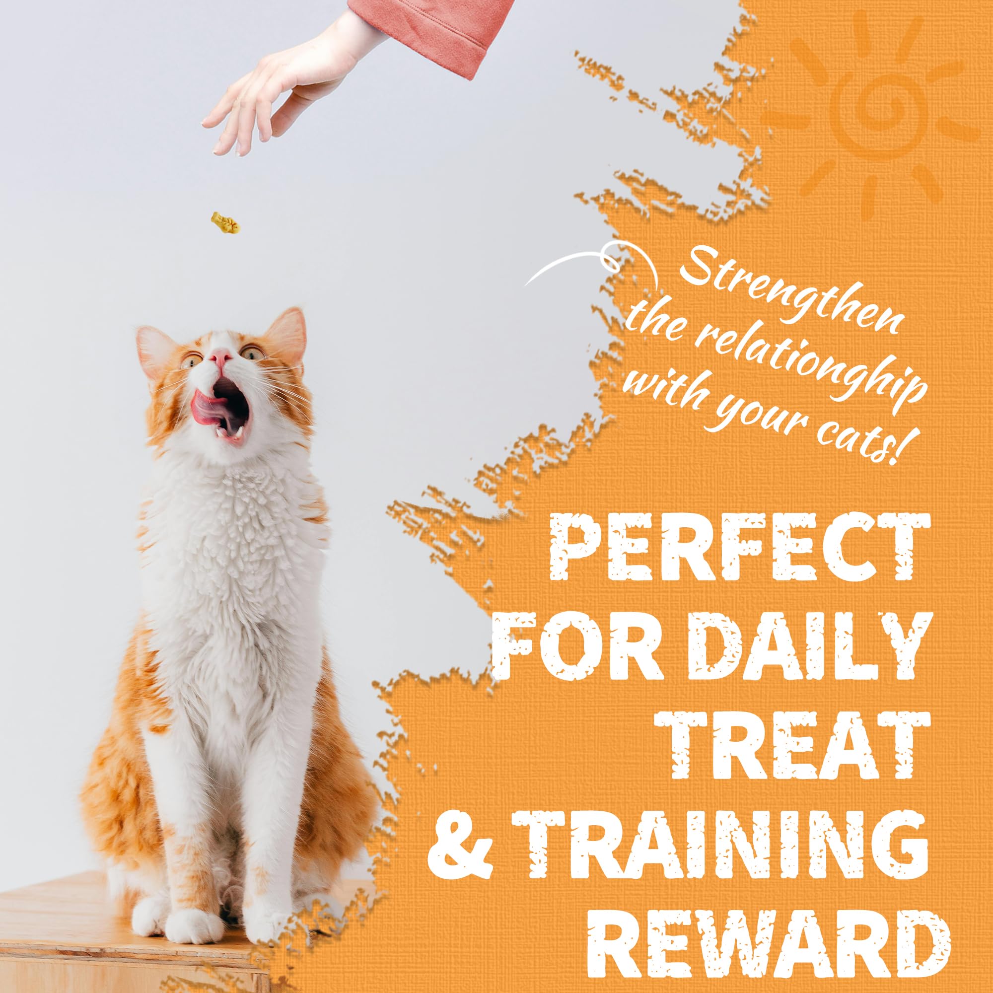 Just Try 13.4 OZ Cat Treats for Indoor Cats Hairball Control Natural Salmon Healthy Cat Grass Treats Kitten Snacks Training Biscuits Catnip for Cats Dental Care: Krill Mixer 1 Pound (Pack of 1)