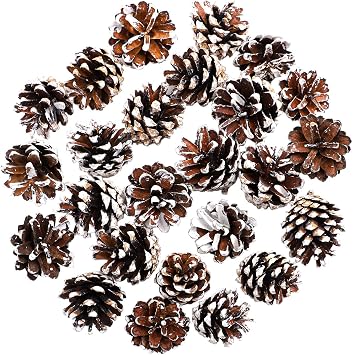 Cooraby 24 Pine Cones - 4 to 6 cm Snow Pine Cones for Fall and Christmas Party Decoration