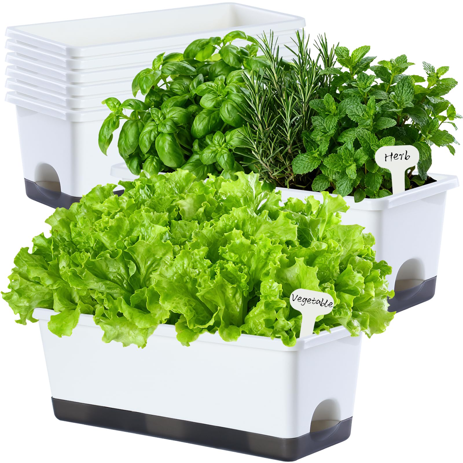 Oliz Window Box Planter 8 Pcs, 17 Inches Rectangle Flower Pots with Drainage Holes & Trays, Vegetable Planters for Windowsill Patio Garden Balcony