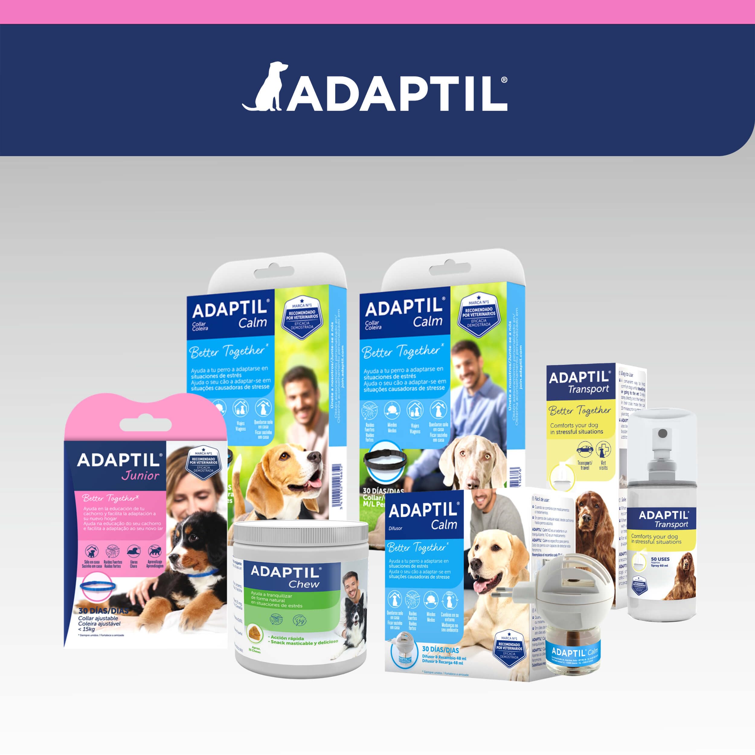 Adaptil Junior - Antistress per i Cuccioli - Adeguamento alla casa, l'apprendimento, l'educazione, Lloros, Era Solo - Collare per Cuccioli