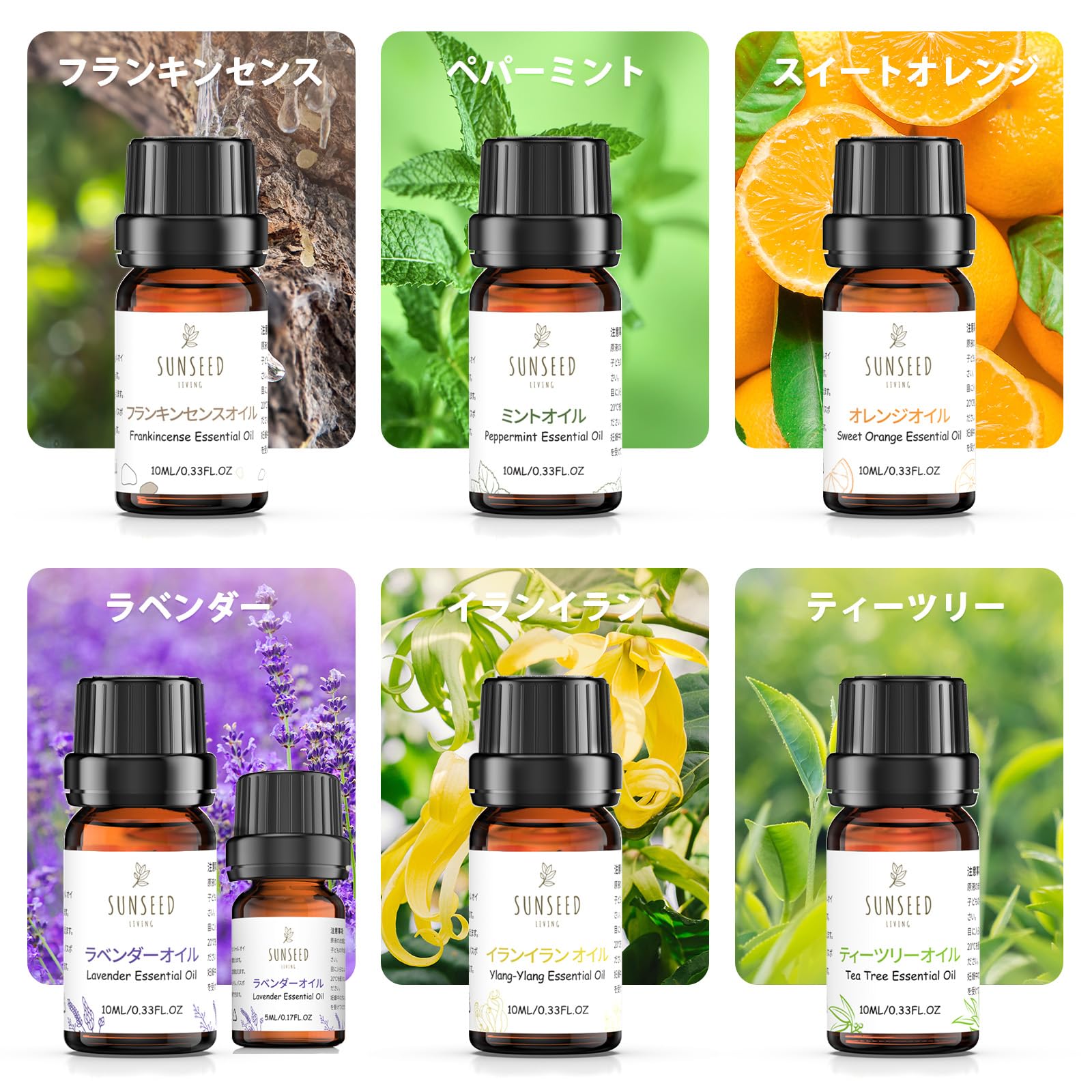 Amazon.co.jp: Sunseed Living 7本セット水溶性アロマオイル（合計65ml 