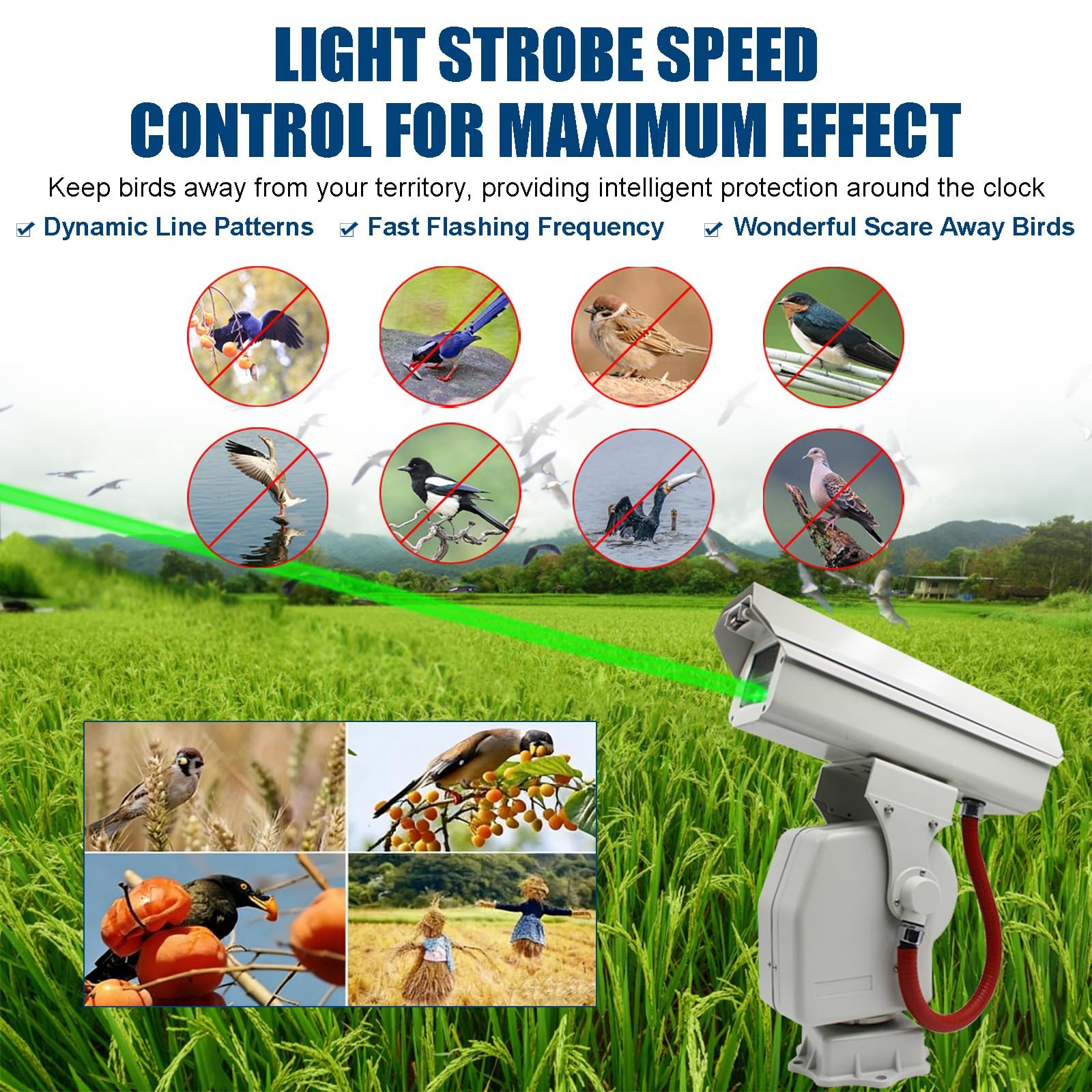 Disuasivo Láser Automático para Aves De 360° C 2W