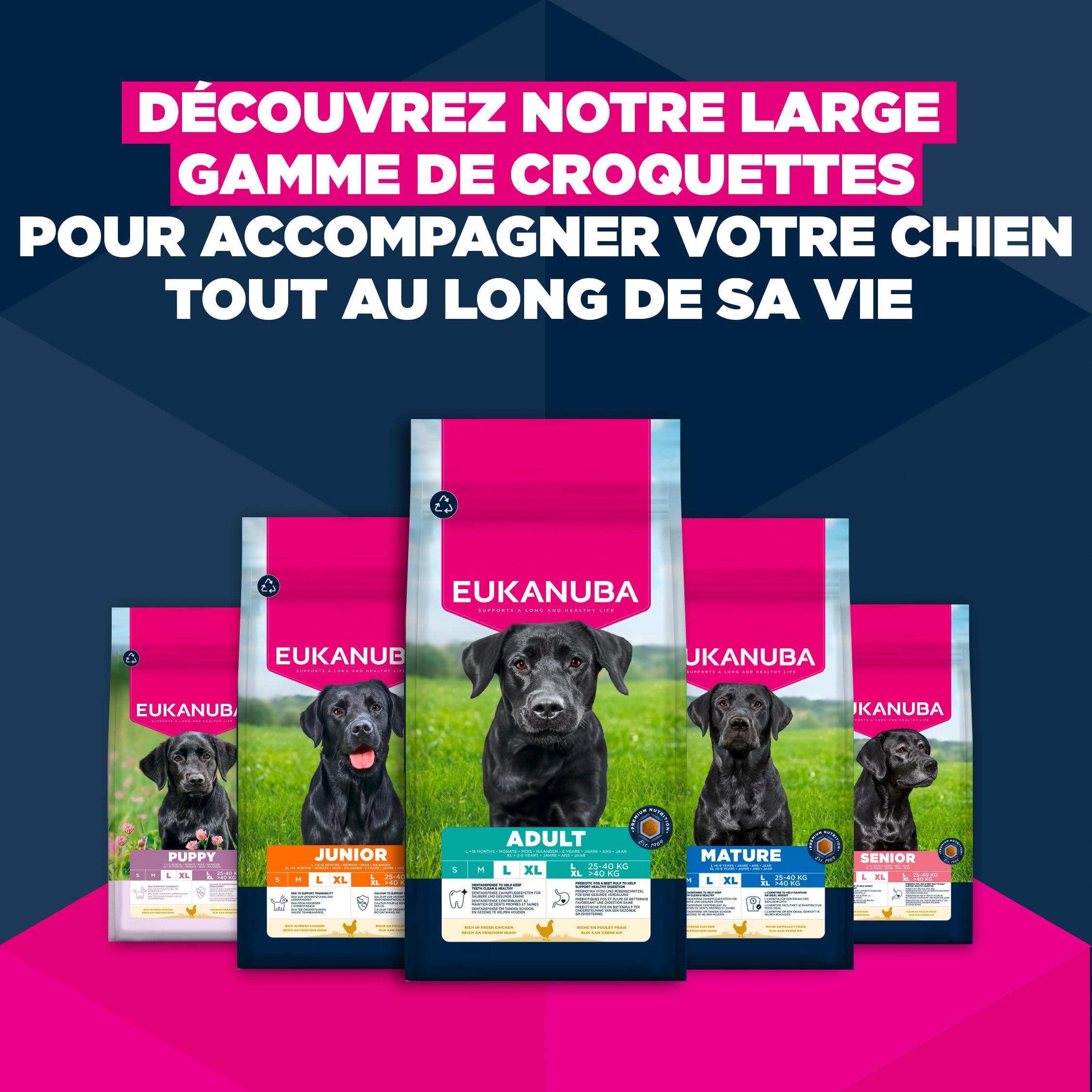 EUKANUBA Life Care Junior Grande Race Poulet Frais 15 kg