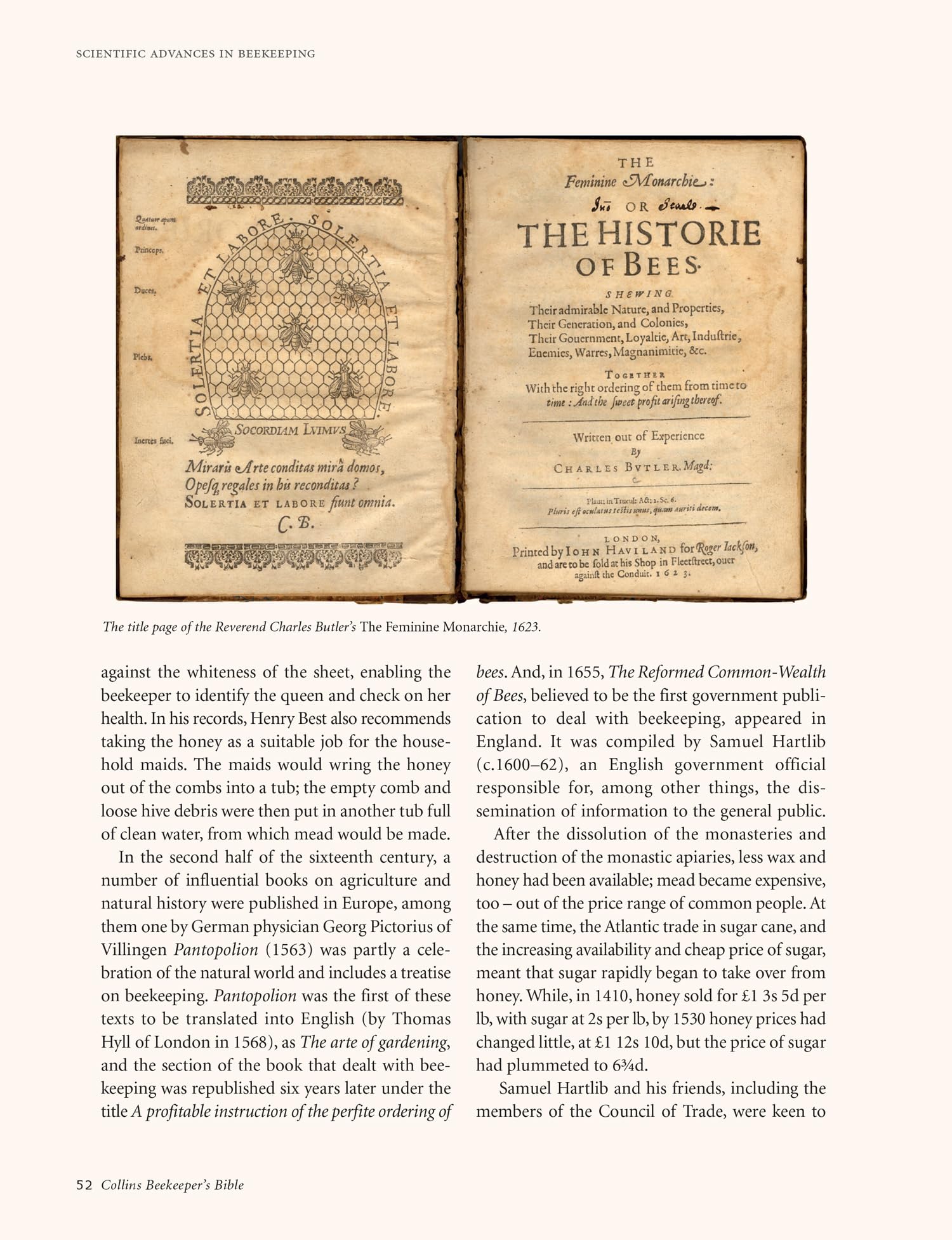Collins Beekeeper’s Bible: Bees, honey, recipes and other home uses