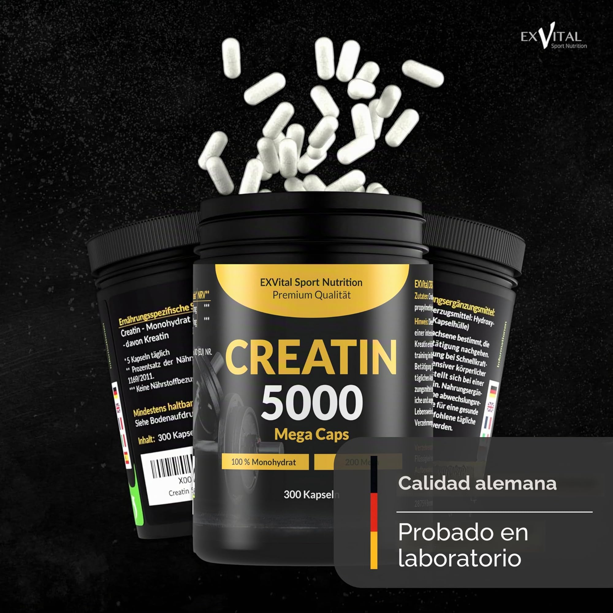 Creatina 5000 Mega Caps, 5000 mg creatina monohidratada/día, 300 cápsulas veganas, 100% pura, control laboratorio (Paquete de 2)