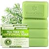 Roycederm Tea Tree Soap for Face & Body Acne, Athletes Foot, Tinea, Folliculitis Ringworm Jock Itch - Pack of 2