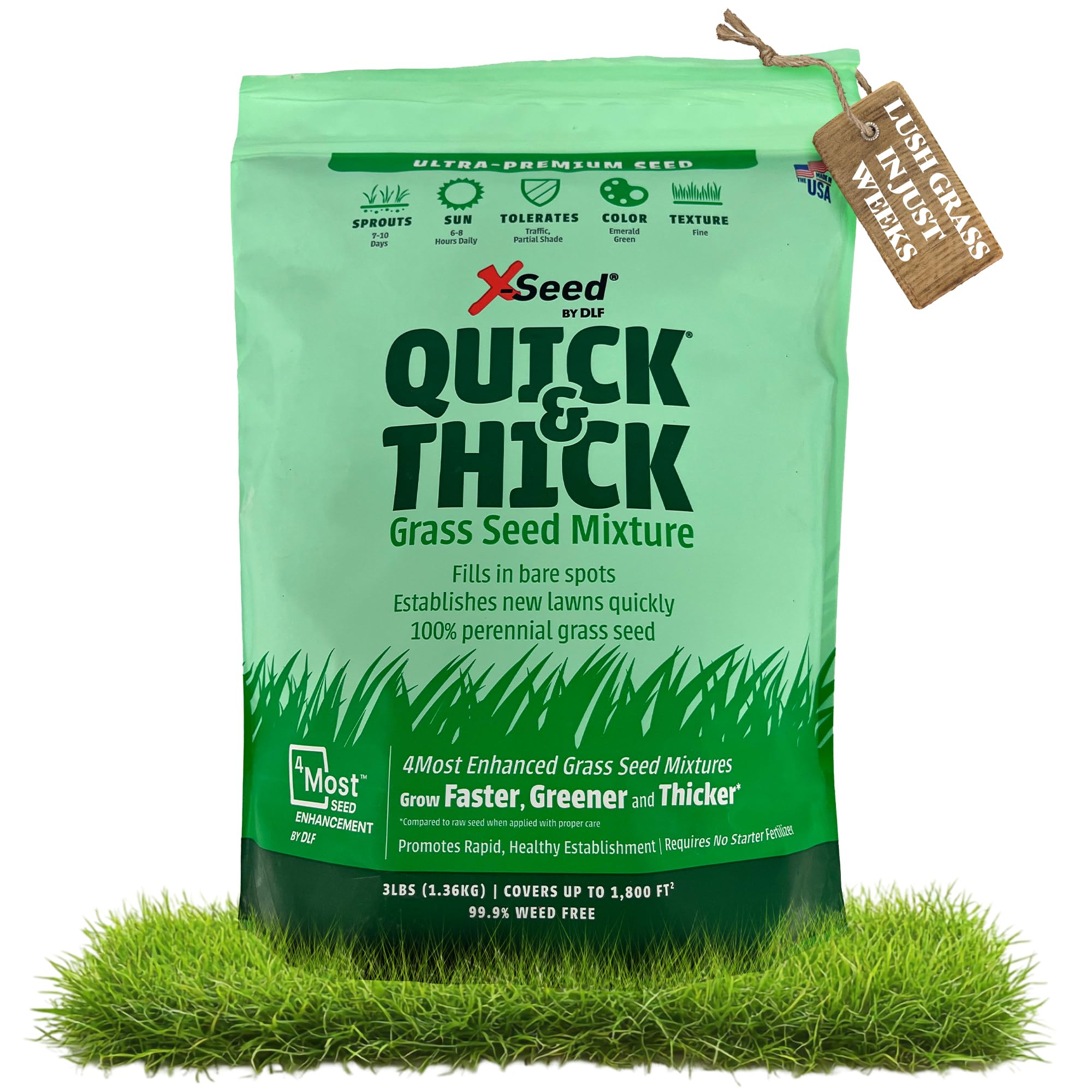 Ultra Premium Quick and Thick Lawn Seed Mixture – Rapid Germination for Any Lawn, Dense Coverage in Sun to Shade, High-Traffic Areas, Fescue, Kentucky Blue, & Perennial Ryegrass Blend, 3lb Bag