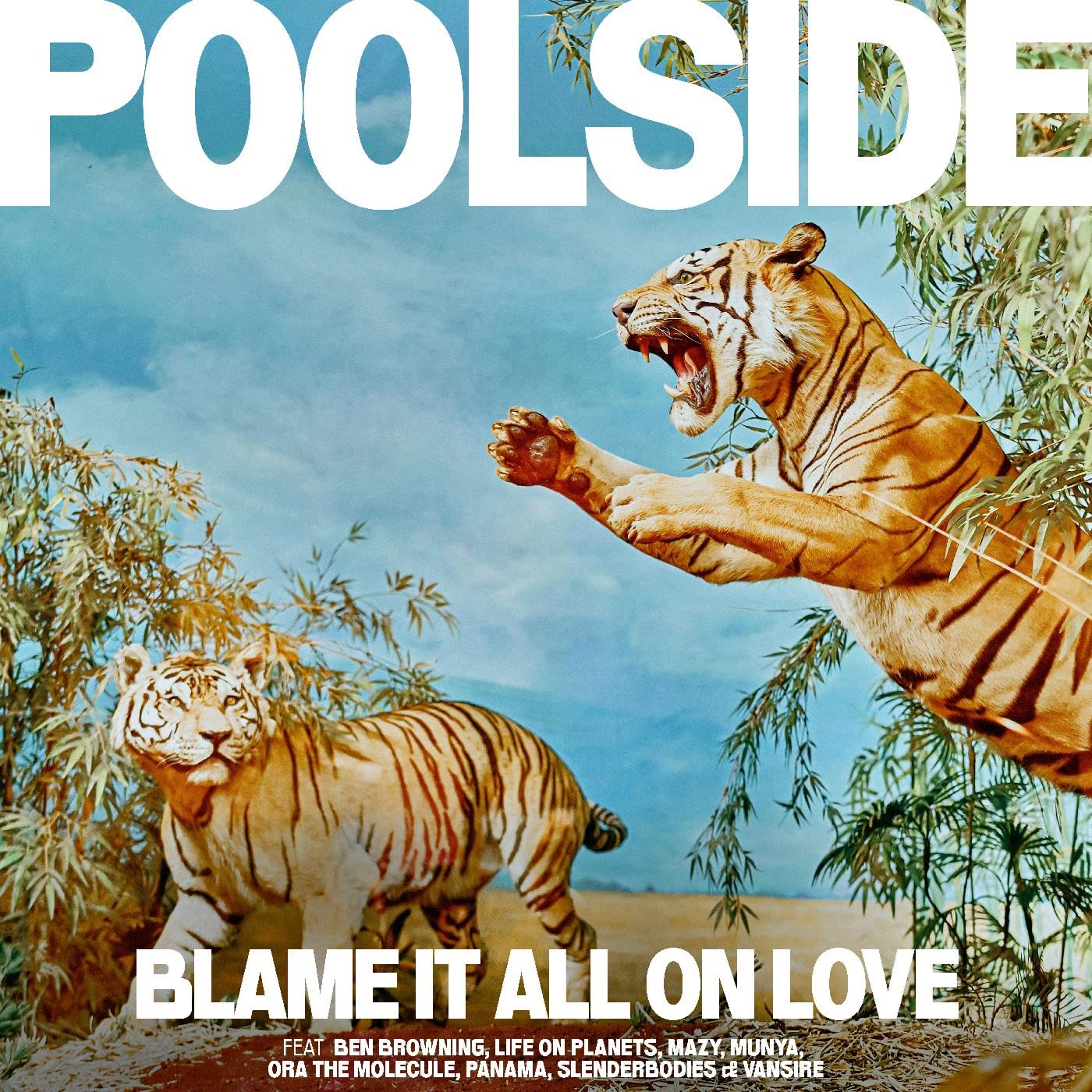 Blame It All On Love [VINYL]