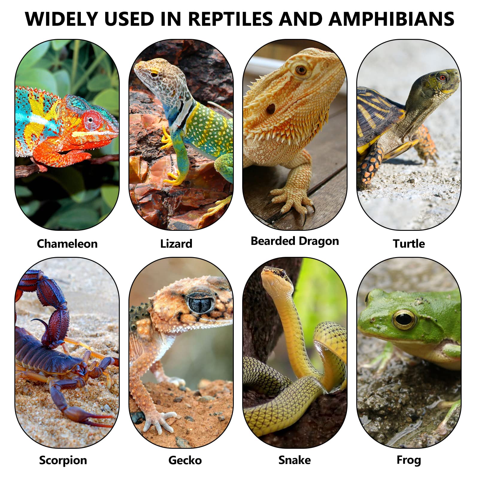 Palmcee Esterilla térmica terrario, almohadilla térmica ajustable y extraíble para reptiles con control de temperatura, almohadilla térmica para reptiles, tortugas, serpientes, lagartos, gecko, araña