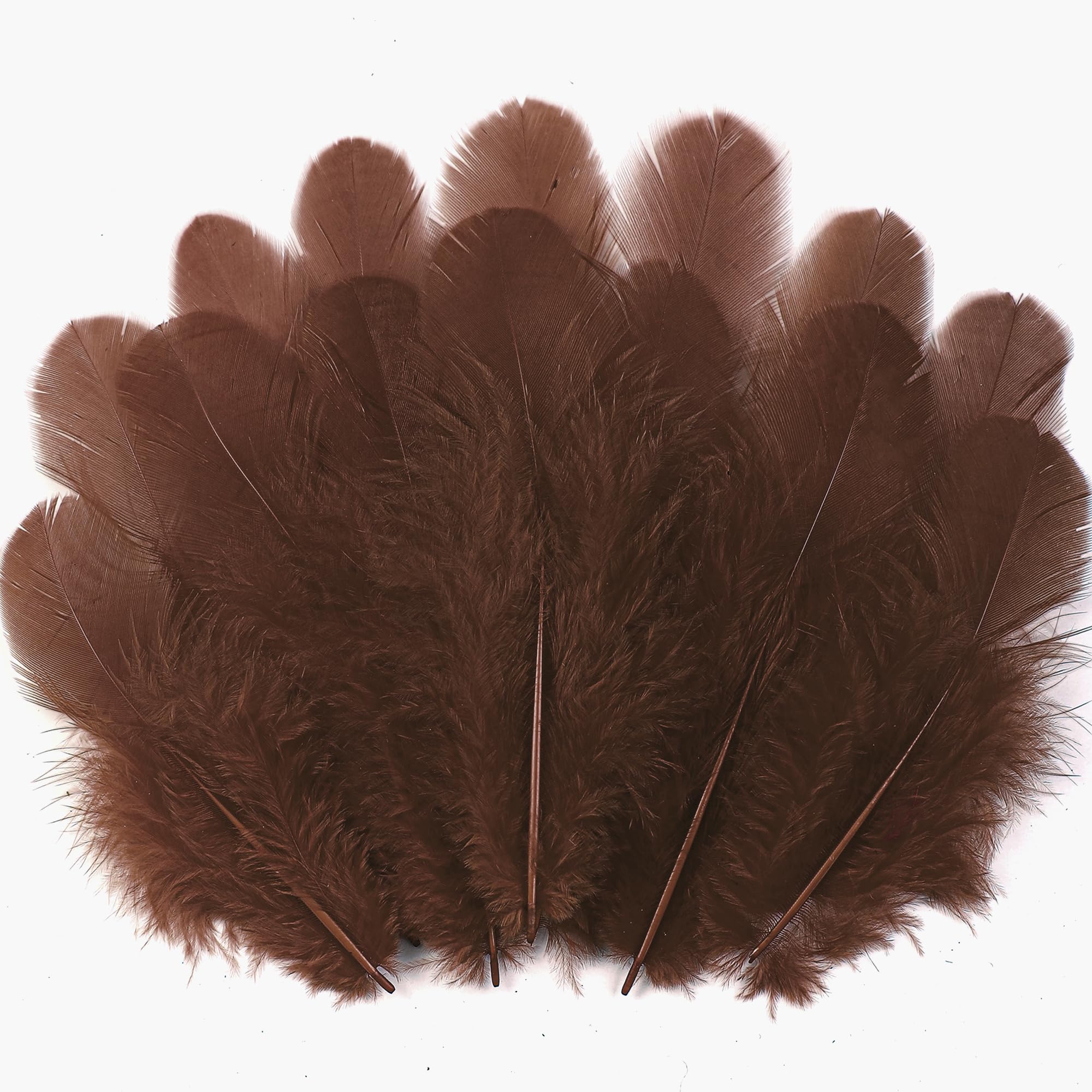 Soarer 300pcs Brown Feathers for Crafts
