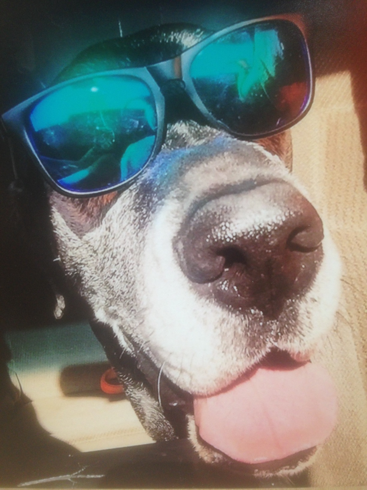 Amazon.com: Todd Rundgren's Utopia Lines Tee Officially Licensed T ...