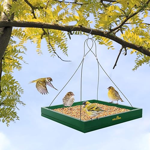 Miniatura 7 de MIXXIDEA Bandeja colgante para comedero de pájaros, plataforma de madera para colibríes, bandeja colgante de malla para jardín, patio, decoración
