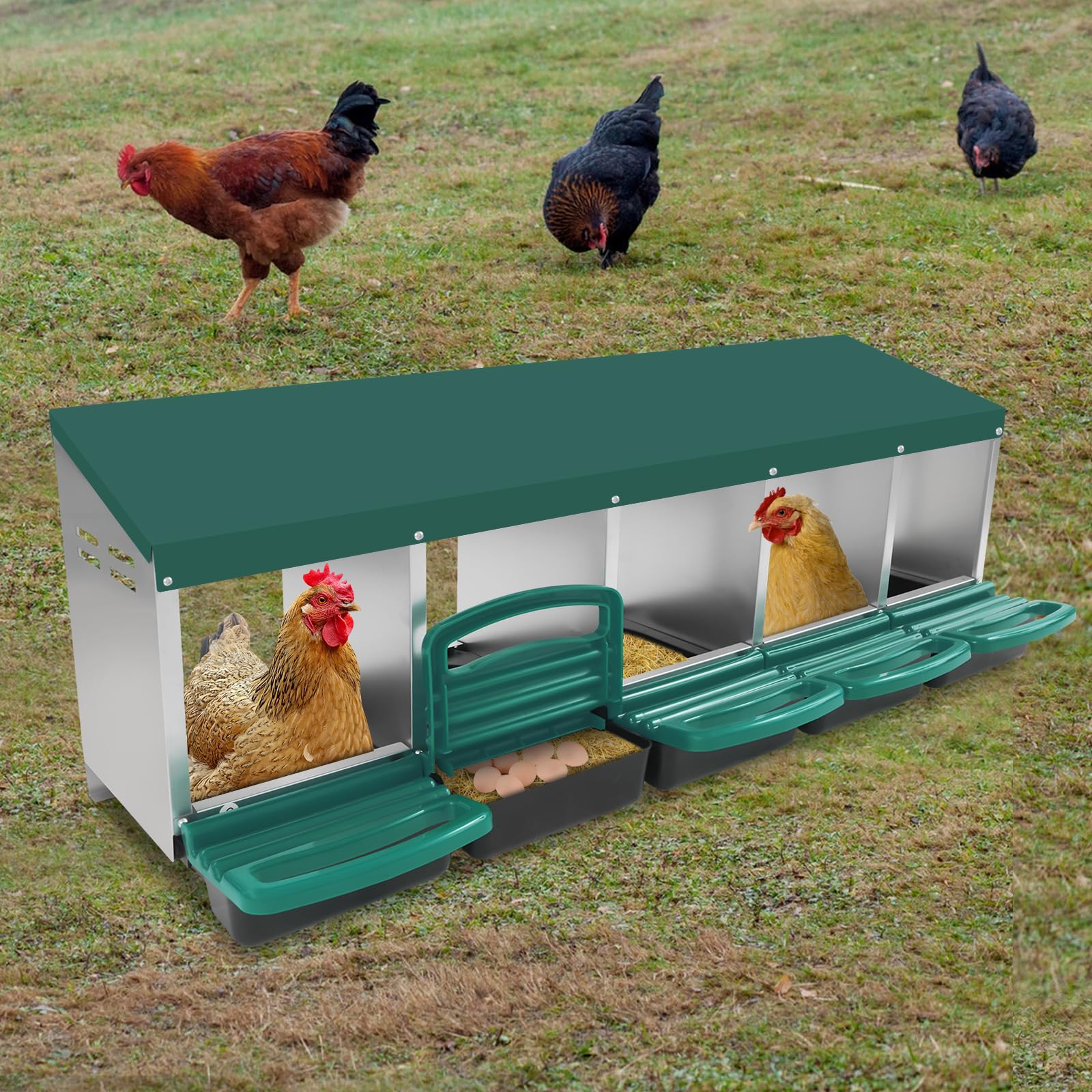 Nido para pollos, 5 compartimentos, nido de pollo de acero galvanizado y plástico, con pie en el suelo o en la pared, con toldo para gallinero y aves de corral